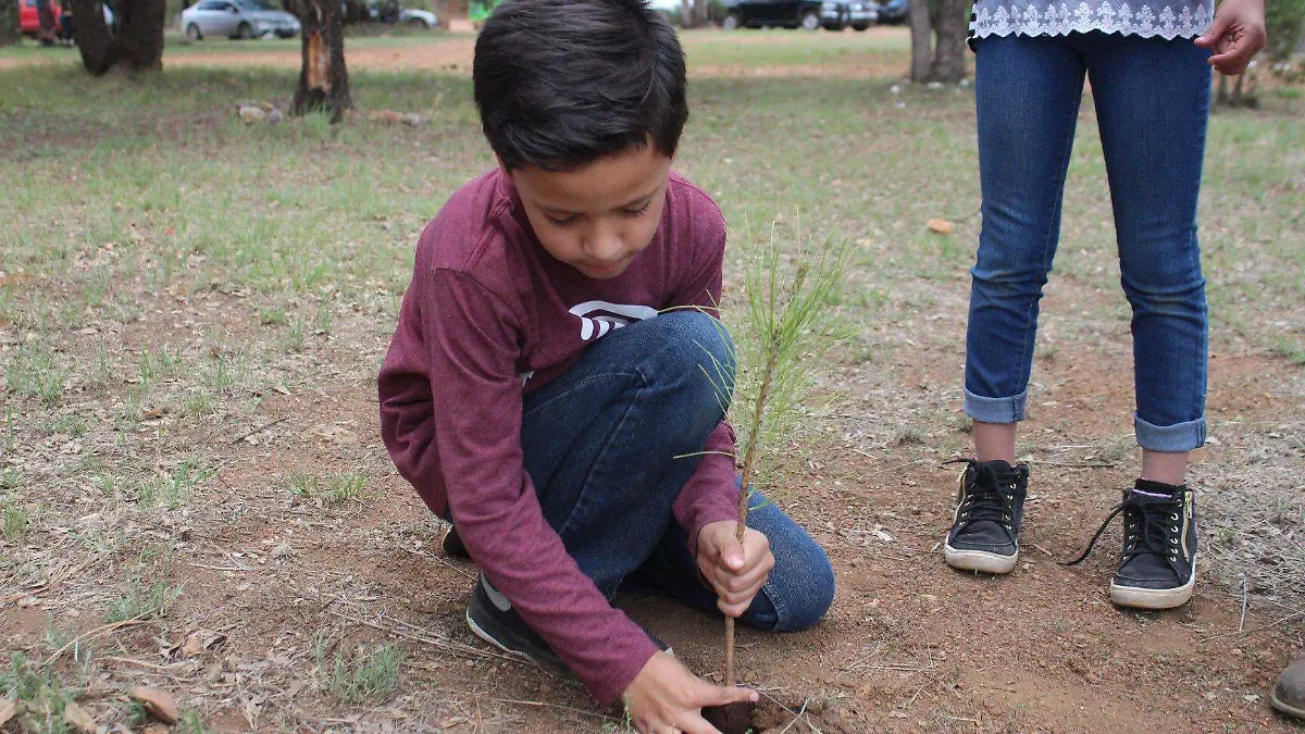 1 Maderenses reforestan la Presa Peñitas